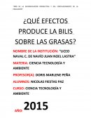 ¿Qué efectos produce la bilis sobre las grasas?