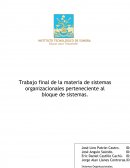 Trabajo final de la materia de sistemas organizacionales perteneciente al bloque de sistemas
