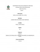 Manual de estimulacion temprana para niños con sindrome de Down