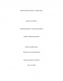 VECTORES MAGNITUD Y DIRECCIÓN DE UN VECTOR