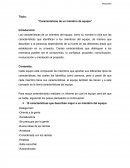 Características de un miembro de equipo