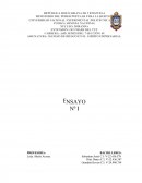 MANEJO DE RIESGO EN EL ÁMBITO EMPRESARIAL