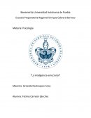 La inteligencia emocional