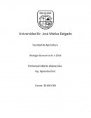La biodiversidad de nuestro planeta se extingue.