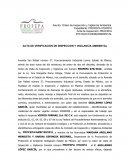 Orden de Inspección y Vigilancia Ambiental