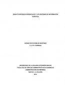 ENSAYO ENFOQUES GERENCIALES Y LOS SISTEMAS DE INFORMACIÓN TURÍSTICA