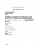 REANUDACIÓN DE LABORES FORMATOS.