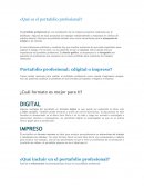 ¿Qué es el portafolio profesional?