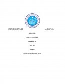 Informe general de la campaña