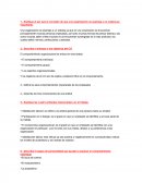 Explique el por qué el concepto de que una organización se asemeja a un iceberg es importante