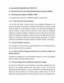 EVALUACIÓN FINANCIERA DEL PROYECTO