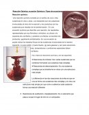 Reacción Química, ecuación Química y Tipos de ecuaciones químicas