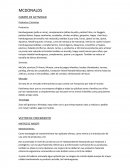 MCDONALDS CAMPO DE ACTIVIDAD