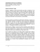 Historia de Phineas P. Gage Tarea