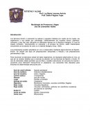 Morfología de Protozoos y Algas Uso de colorantes vitales