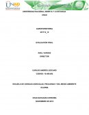 La importancia de la Agroforesteria en un sistema productivo