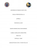 ESPAÑOL II ''HISTORIA DE LA UANL''