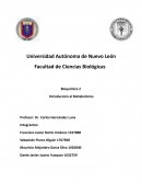 Bioquímica 2 Introducción al Metabolismo