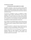 CONTAMINACION DEL MEDIO AMBIENTE EN COLOMBIA