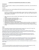 PLANEACION ACTIVIDADES METODOLOGIA ESPECIAL DE LA MUSICA