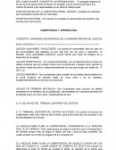 MATERIA PROCESAL PENAL