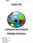 GUÍAS DE CIENCIAS NATURALES.