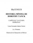 Etapa indigena en la educacion.