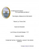 Tecnología y Manejo de la Información