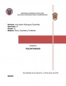 El voluntariado.