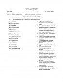 Parea los términos con la descripción que mejor lo describa.