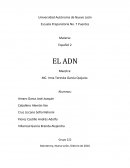 ¿Qué es el ADN y la genética?