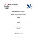 MENORES Y COFACTORES.