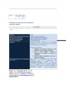 Formato de informe de actividades