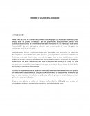 INFORME VALORACIÓN ÁCIDO-BASE