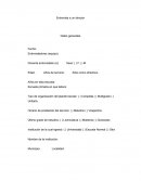 Estructura de entrevistas para director