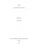 LO QUE ESCONDEN LAS MONTAÑAS