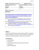 Derecho aduanero. Incidencia de pedimento