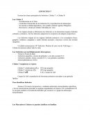 Linfocitos T. Las Células T