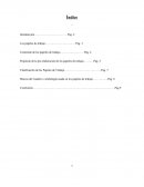 Los Papeles de Trabajo Contenido de los papeles de trabajo