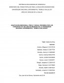 Adaptación emocional, física y social percibida por los cursantes de 1er año de medicina de la Universidad Nacional Experimental “Rómulo Gallegos”