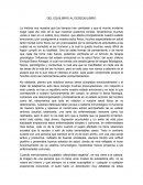 Ensayo: DEL EQUILIBRIO AL DESEQUILIBRIO