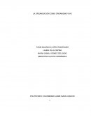 LA ORGANIZACIÓN COMO ORGANISMO VIVO.