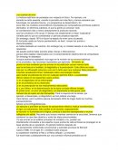 Los cuentos de error.