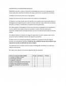 ELABORACIÓN DE UN GENOGRAMA INDIVIDUAL