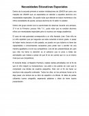 Necesidades Educativas Especiales.