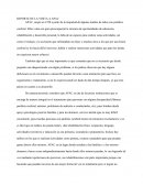 REPORTE DE LA VISITA A APAC