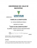 REPORTE DE VIDEO CARBONELL