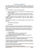 SISTEMAS DE GORBIERNO