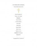 La Responsabilidad Social Empresarial.