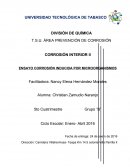 Corrosión inducida por microorganismos